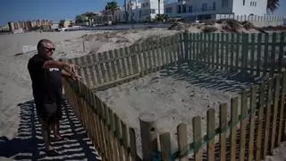 101 huevos de tortuga boba en La Manga en la primera puesta del año