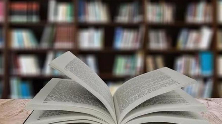 El Consell destina un millón a comprar libros y obras de arte como ayuda