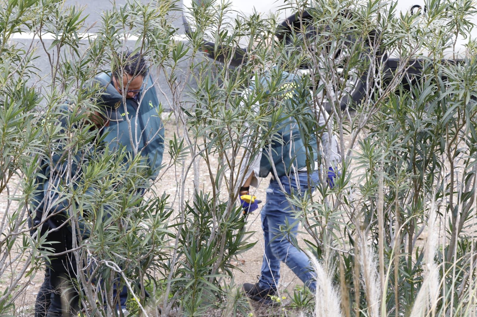 Un crimen en mitad de la carretera: El lugar del asesinato de Arturó Torró