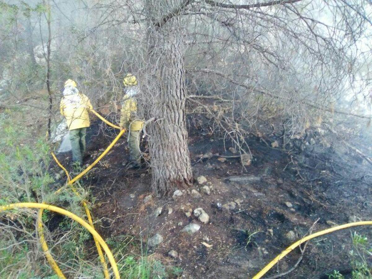 Waldbrand Cala Tuent
