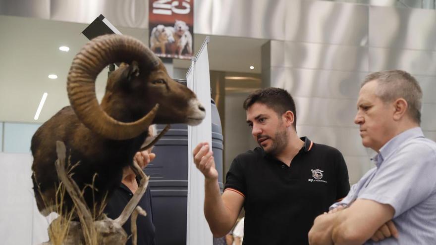 Intercaza vuelve a celebrarse en septiembre en el Centro de Ferias de Córdoba: 