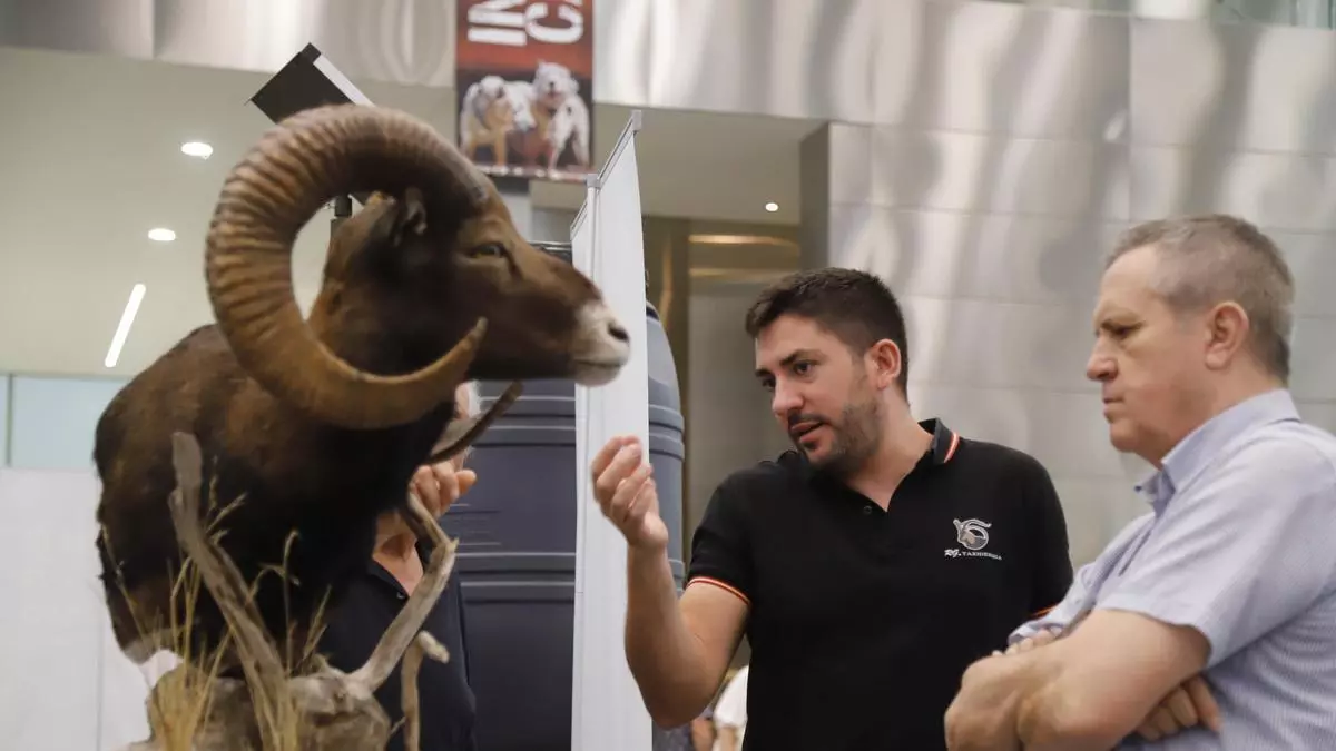 Intercaza vuelve a celebrarse en septiembre en el Centro de Ferias de Córdoba: "Es la época clave para la caza"