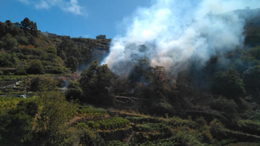 Incendio entre los municipios de La Victoria y Santa Úrsula.