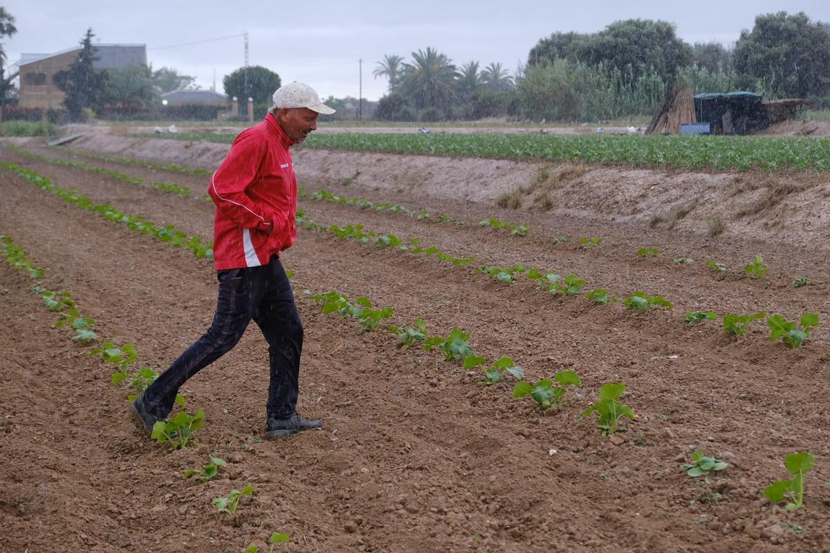 Un agricultor disfrutando de la lluvia en su finca.