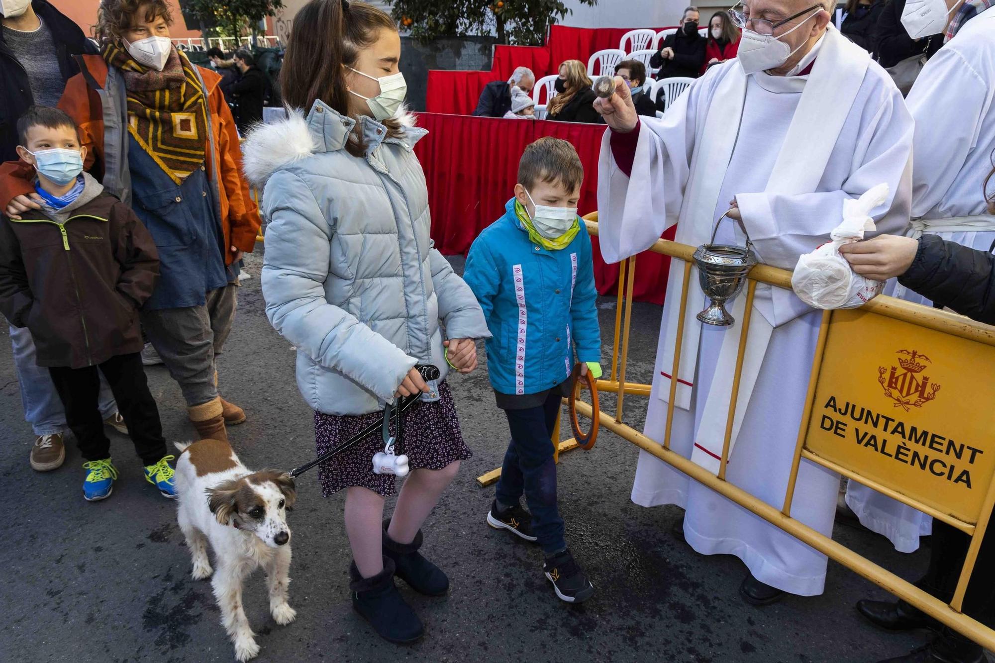 Búscate en la bendición de animales de Sant Antoni