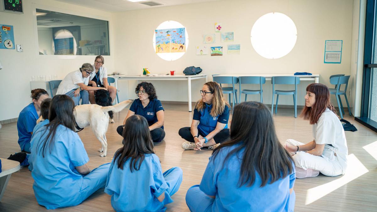 L’Hospital de Manresa fa servir gossos per afavorir el benestar emocional de joves atesos a Salut Mental
