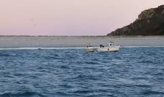 La navaja se afianza como especie líder en Cangas, aunque detrás de la cornicha en 2023