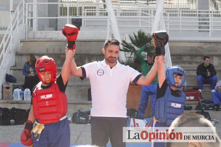 Fiesta del Deporte de Murcia (domingo)