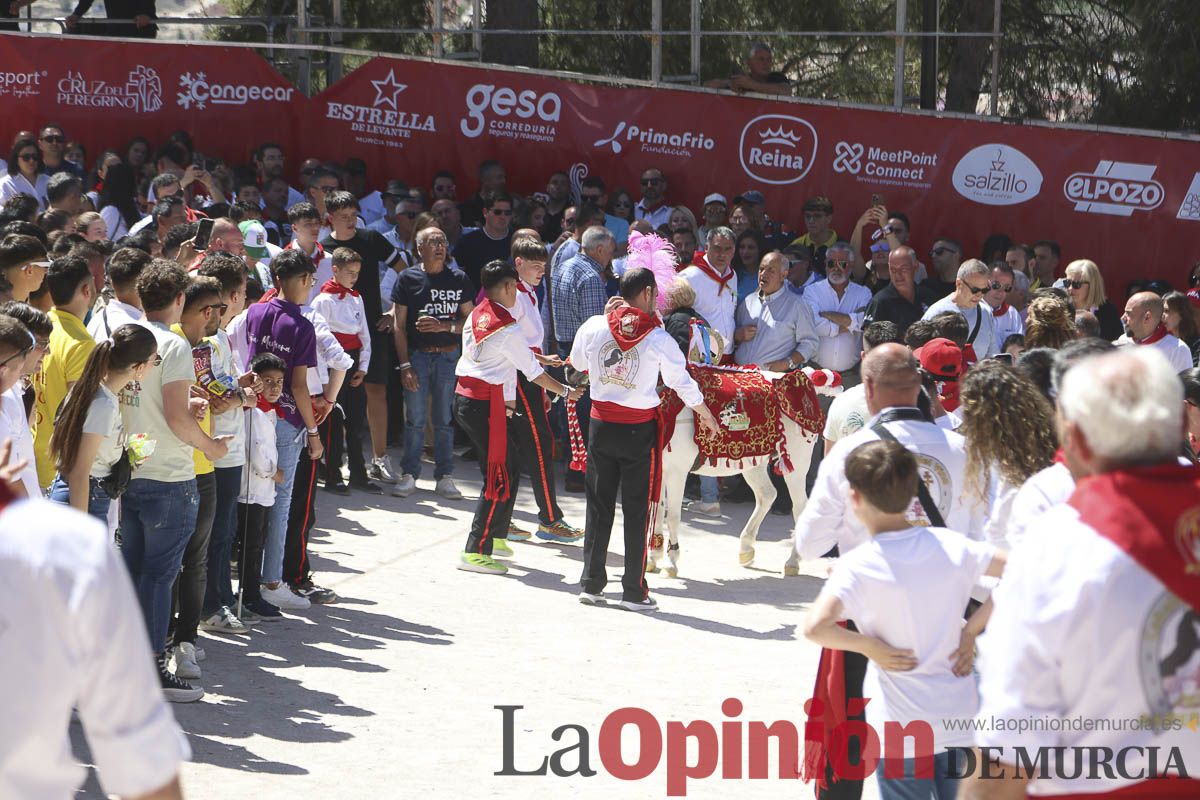 Fiestas de Caravaca: desfile infantil de los Caballos del Vino