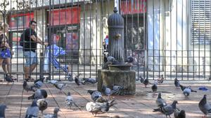 Un grupo de palomas rodea la fuente del Raval en la que los dueños de los perros toman agua cuando no funciona el otro surtidor.