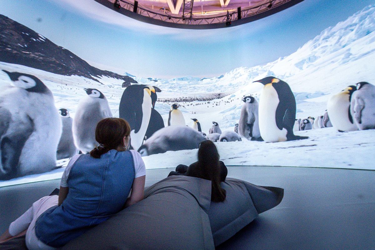Barcelona 28/07/2025 On Barcelona. Exposición inmersiva: Antarctica Experience. DIRECCIÓN: Centro Comercial Arenas AUTOR: MANU MITRU