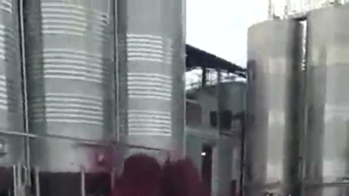 ¡Desastre! 50.000 litros de vino inundan las bodegas Vitivinos (Albacete)