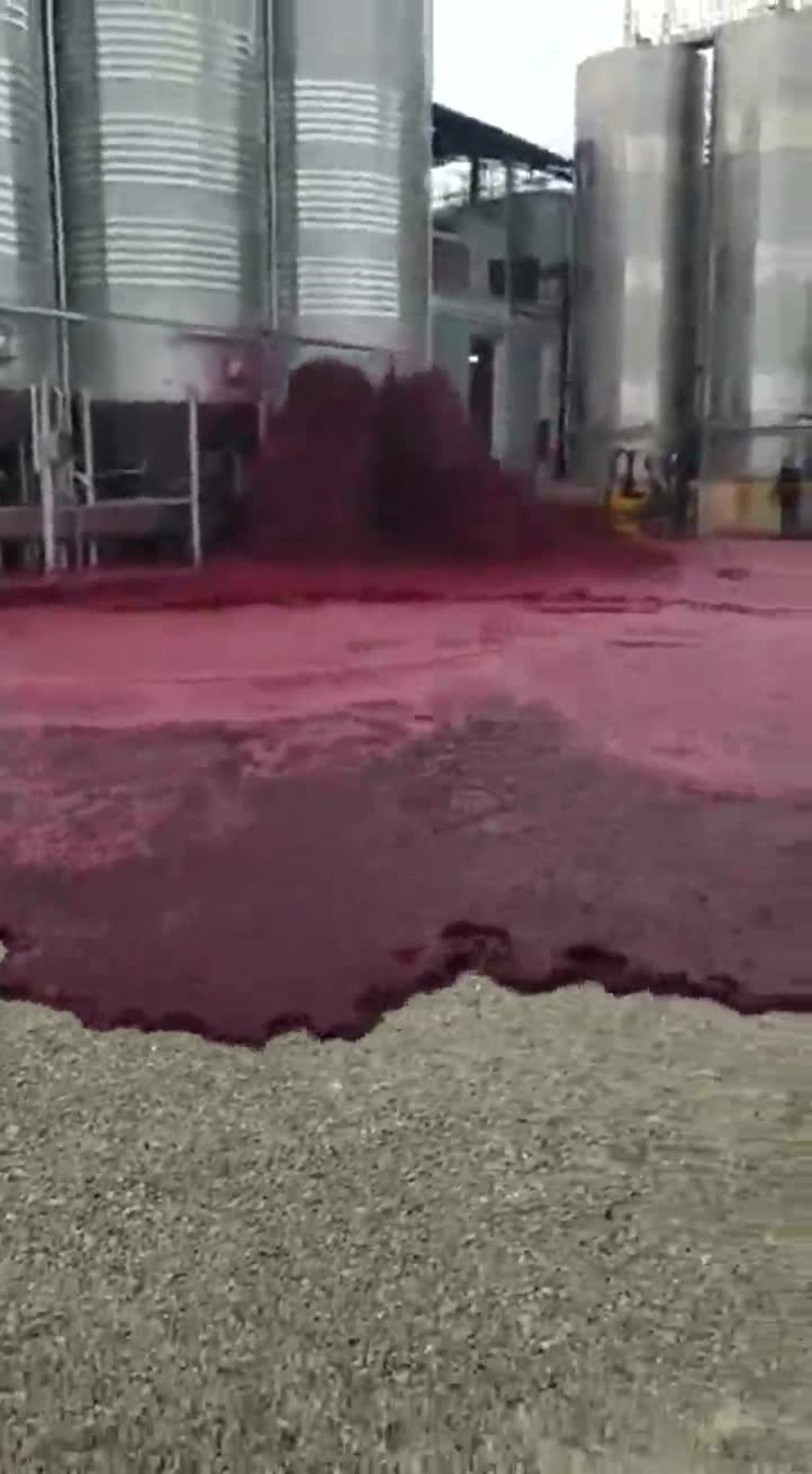¡Desastre! 50.000 litros de vino inundan las bodegas Vitivinos (Albacete)