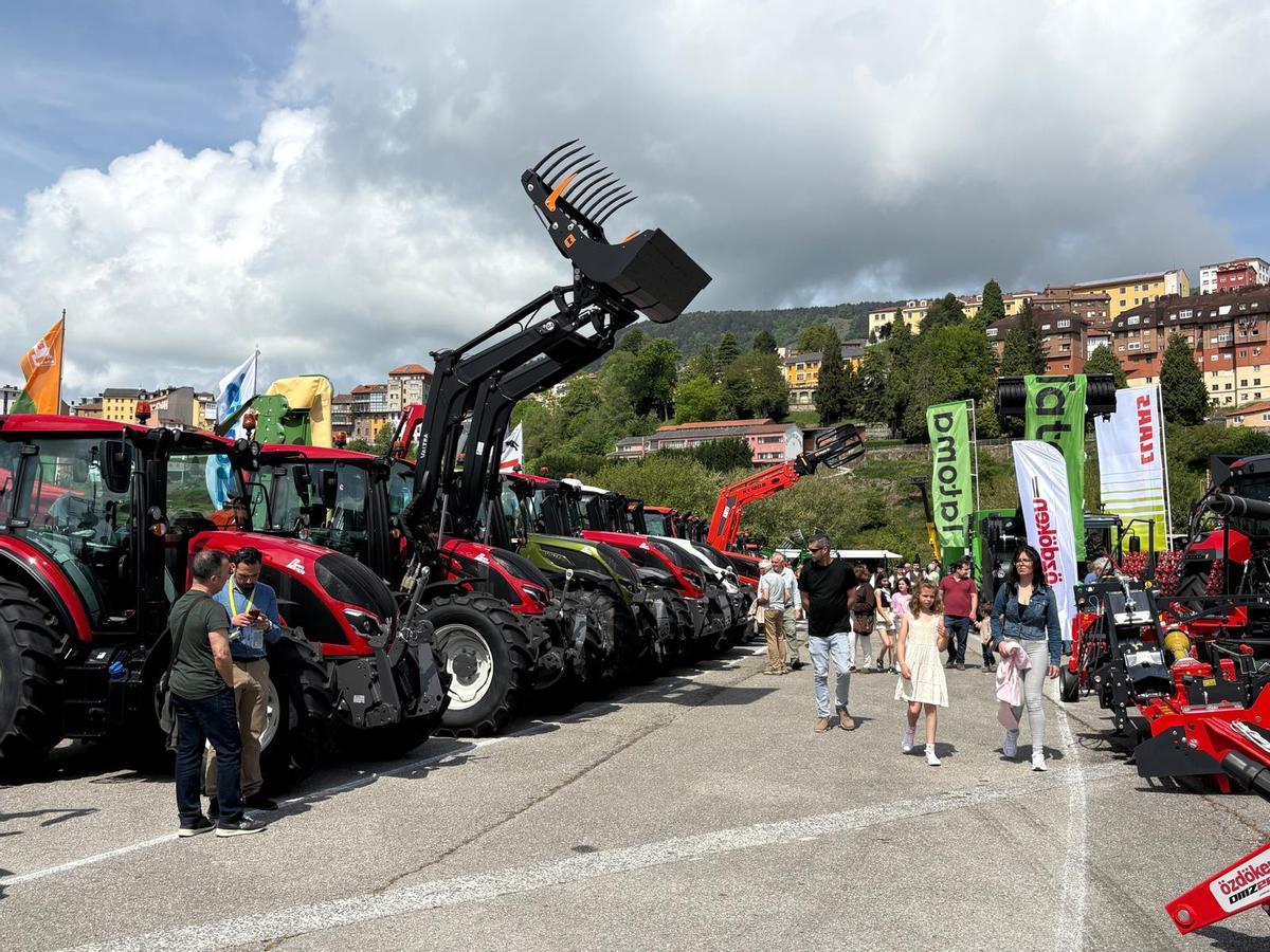 Lleno en el primer día de la Feria de Muestras de Tineo Lleno en el primer día de la Feria de Muestras de Tineo