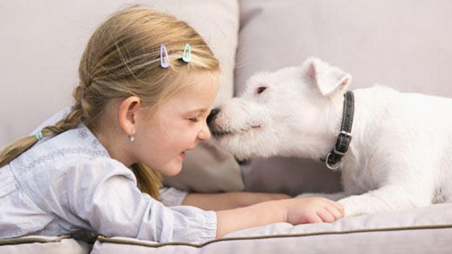 Cómo elegir la mejor mascota para los niños