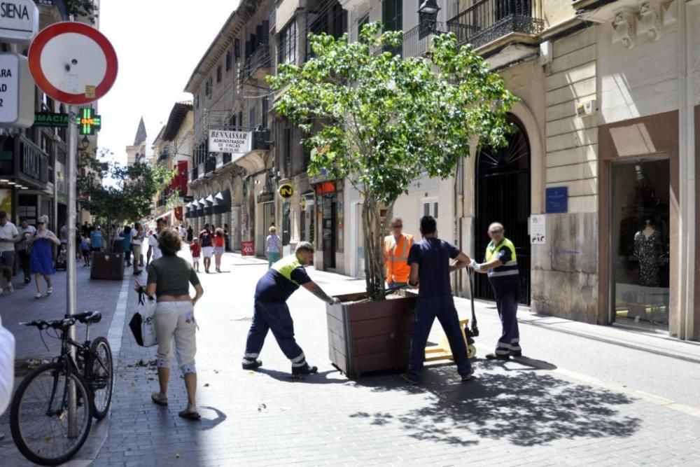 Am Freitag wurden in Palma de Mallorca zusätzliche Anti-Terror-Barrieren installiert.