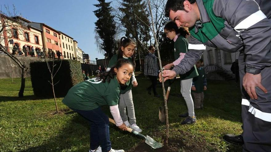 Los pequeños se conciencian plantando 46 árboles autóctonos