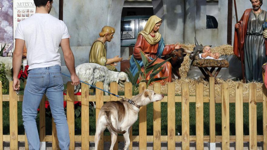 Un joven en camiseta contempla un belén navideño.