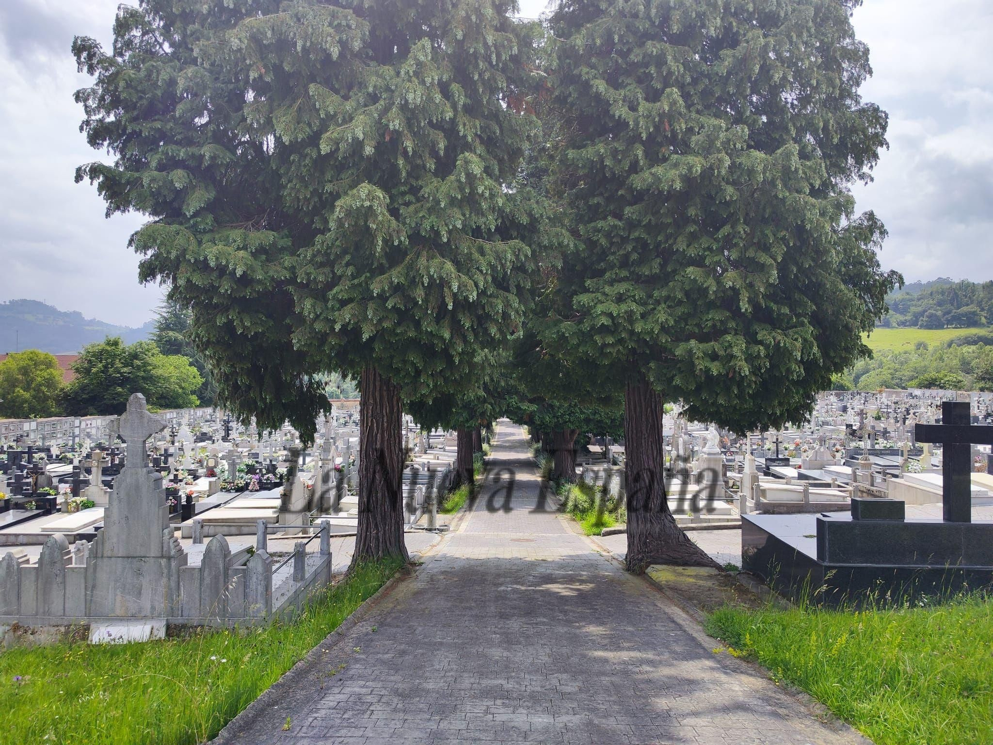 El camposanto de Grado, en imágenes