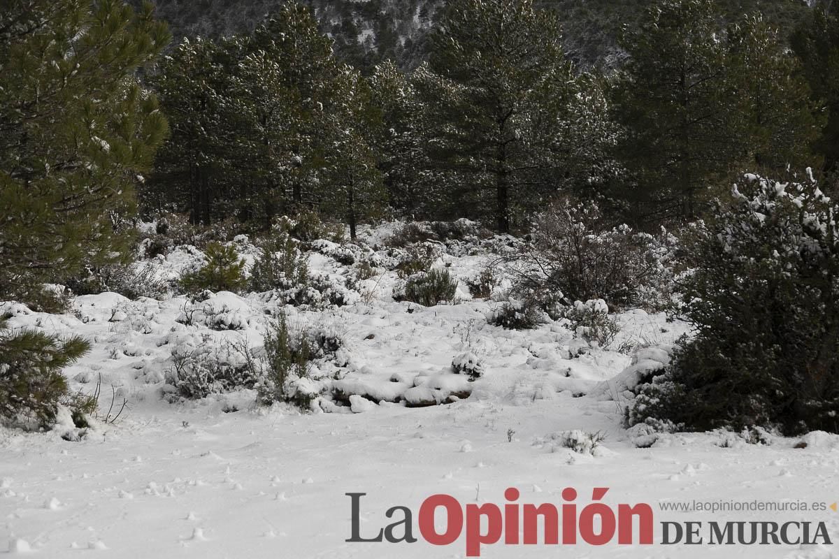 La borrasca Herminia tiñe de blanco la cima de la Región de Murcia