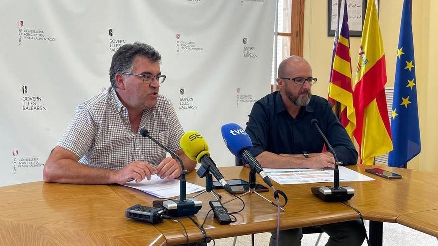 VÍDEO | Més señala al director general de Agricultura por la venta de s'Esplet: "Se benefició un conocidísimo empresario agrícola mallorquín"