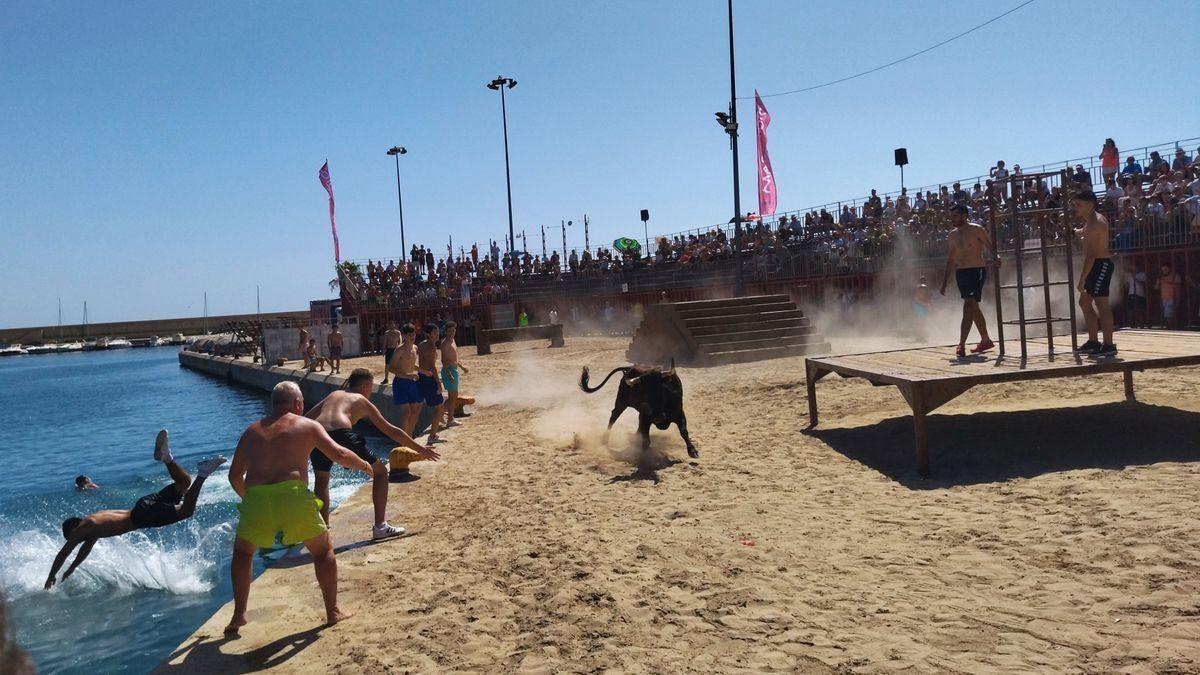 Imagen de los &quot;bous a la mar&quot; de Xàbia.