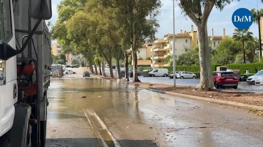 Ponent Vecinos de Calvià sufren la llegada de la dana Adam en el Ponent de ...