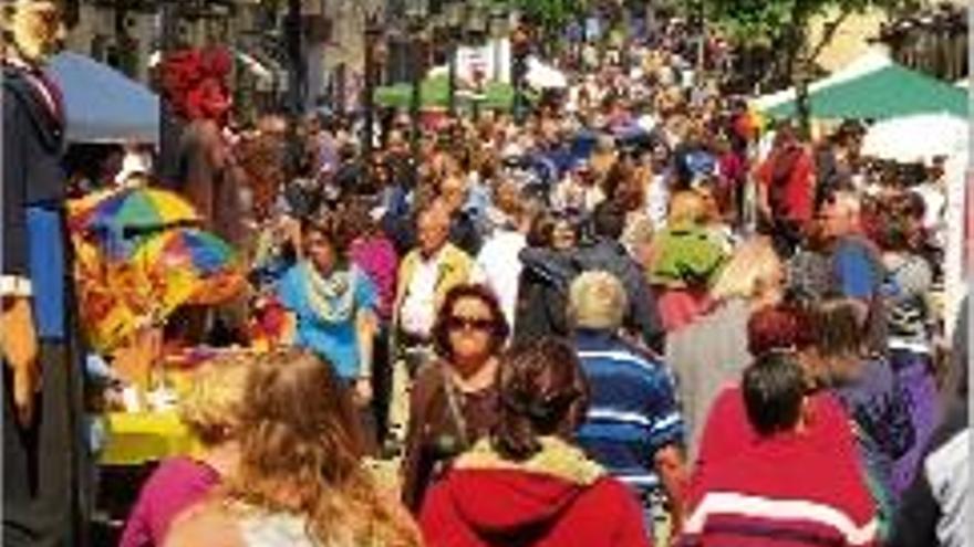 Una vuitantena de parades de roses i llibres omplen Blanes