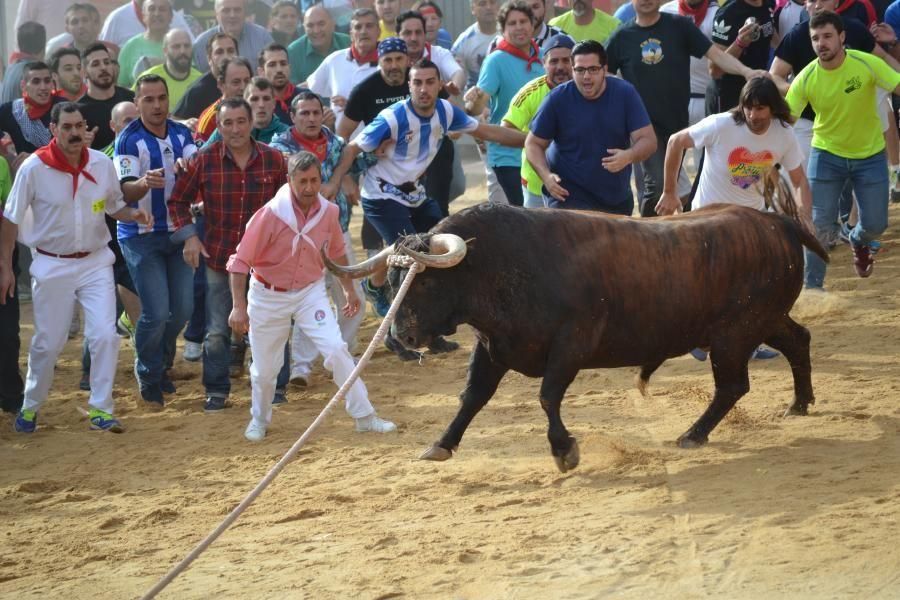 Carrera del Enmaromado 2016