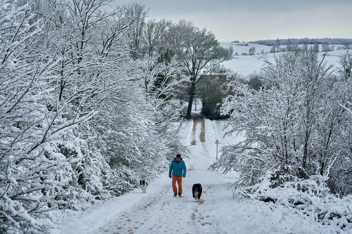Hombre paseando con sus perros entre una nevada en los Pirineos