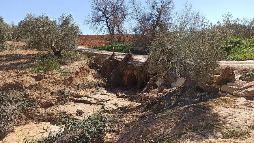 Estado actual del puente sobre el que se va a actuar.