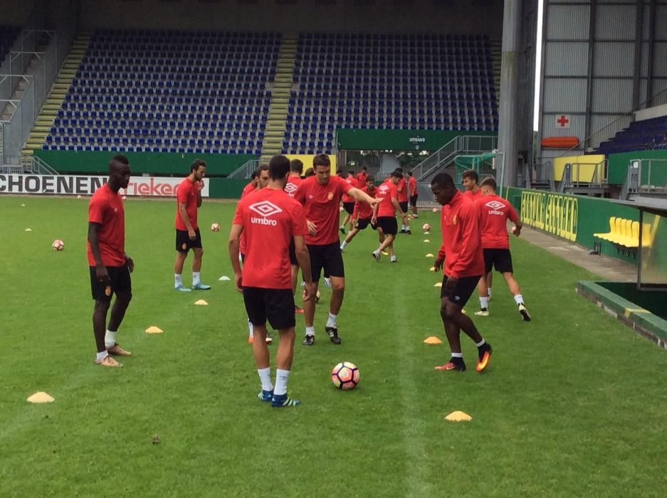 Entrenamiento del RCD Mallorca en Holanda: Vázquez hace sudar a la plantilla