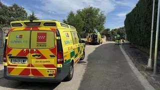 Herido grave por la mordida de una serpiente en un municipio de Madrid