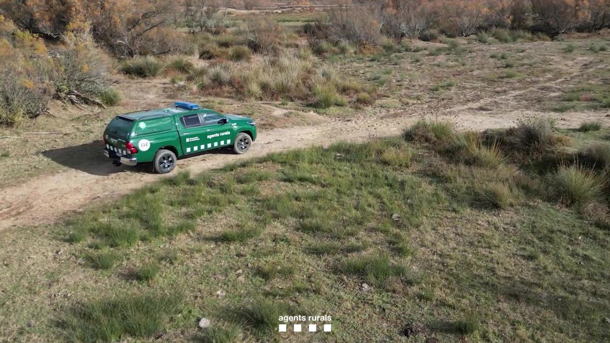 El dispositiu mobilitzarà uns 150 agents rurals.