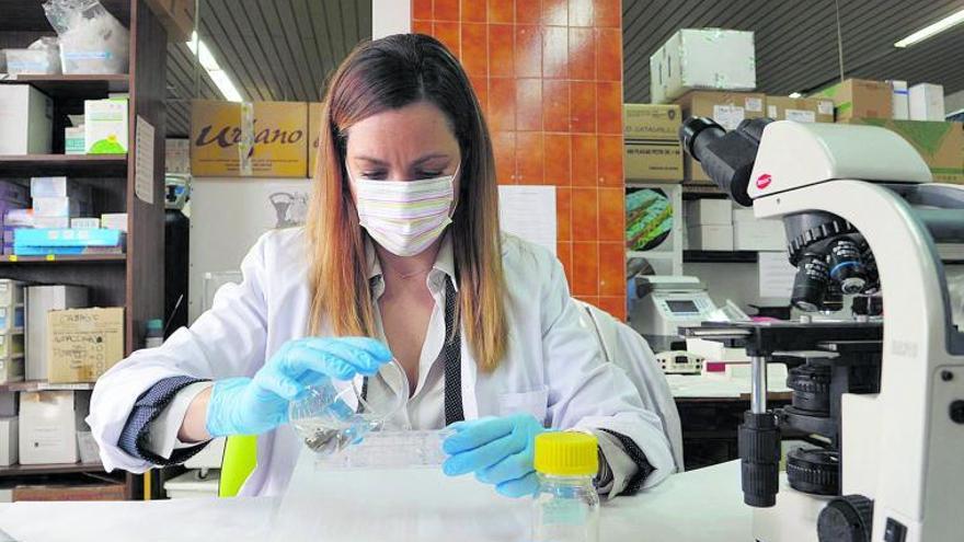 Inés Moreno desarrollando en el laboratorio uno de sus proyectos científicos.