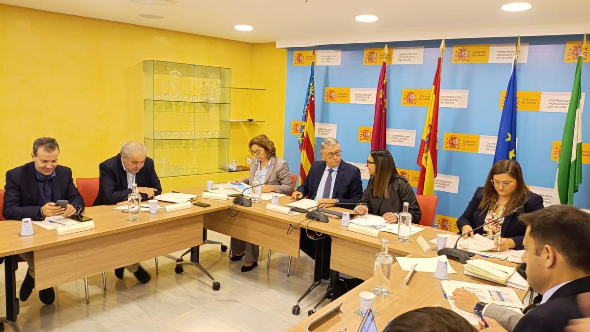 La consejera de Agua y Agricultura, Sara Rubira, este jueves en la reunión de la Junta de Gobierno de la CHS.