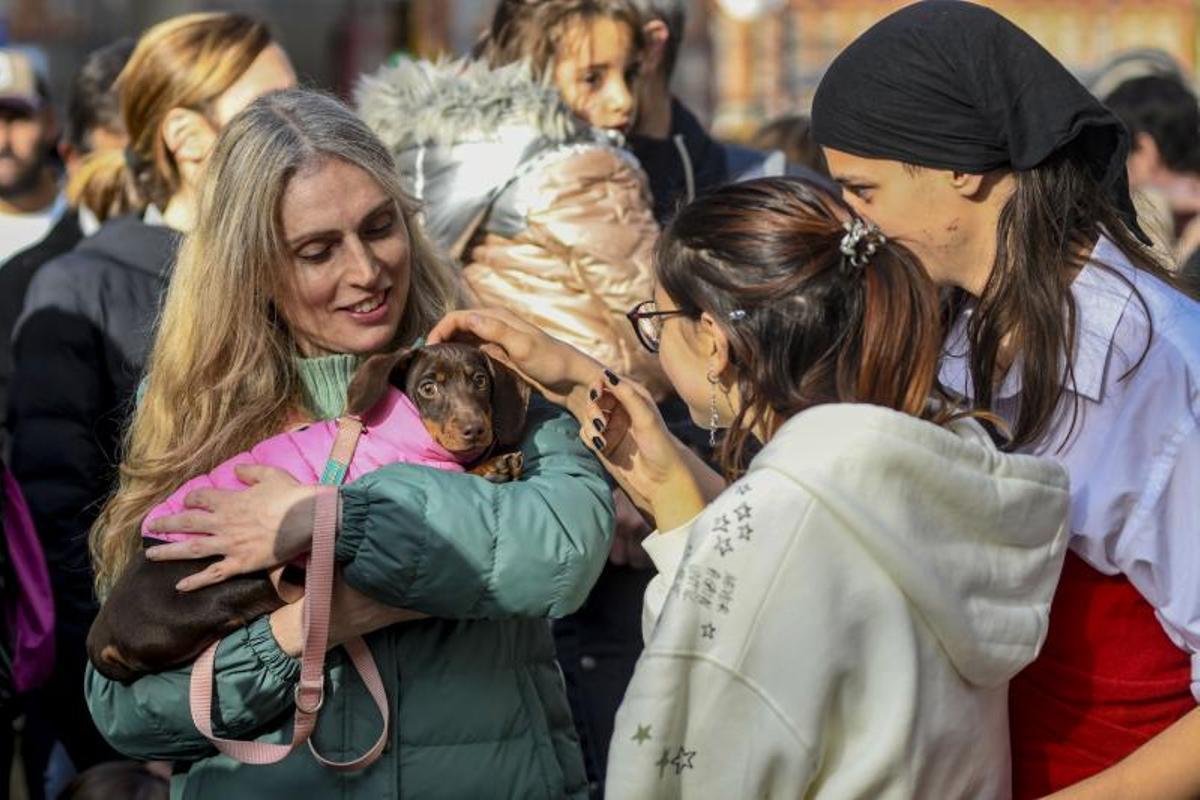 Bendición de animales en Els tres tombs