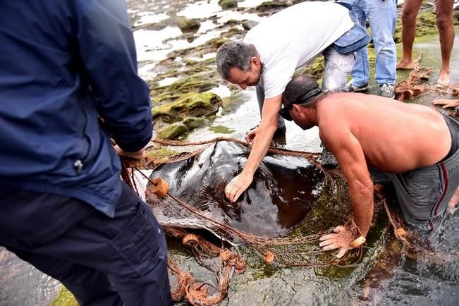 Rescatan a un chucho negro en las piscinas de La Laja