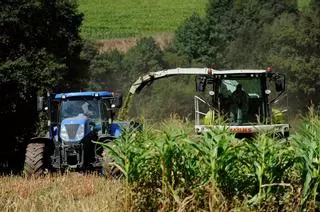 El minifundismo arrastra a la cola de las autonomías el rendimiento agrario gallego