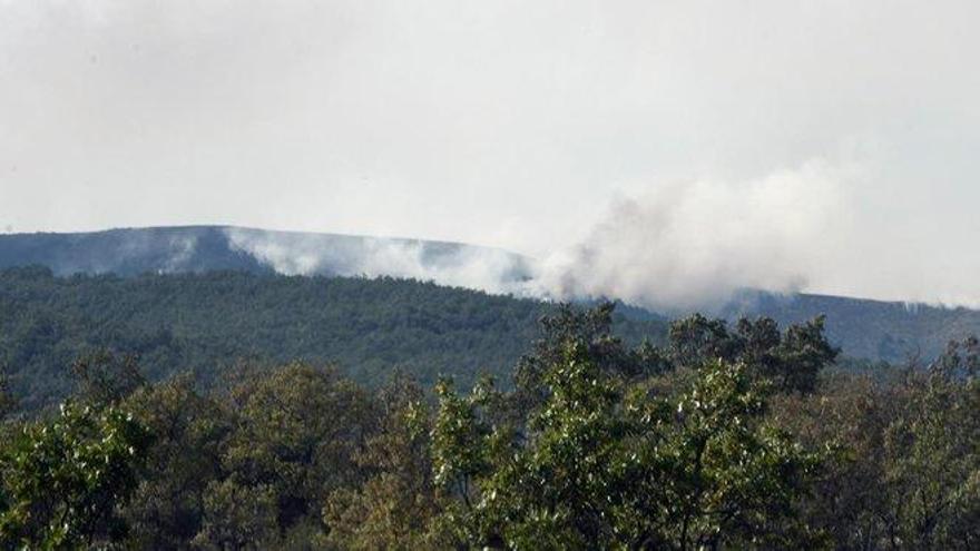 Los fuegos de La Granja y Miraflores, estabilizados tras quemar 900 hectáreas