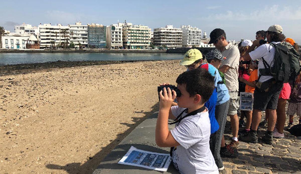 Arrecife, un mirador de aves marinas