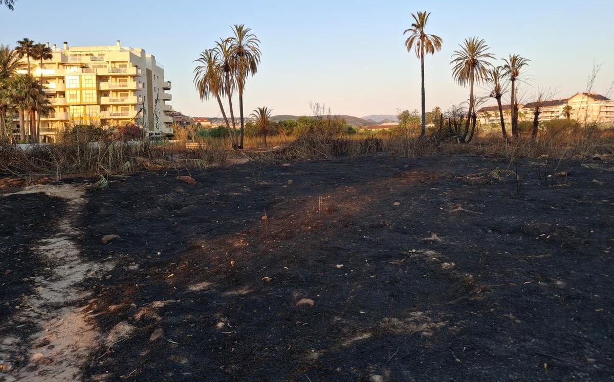 Un tramo de duna calcinado y escombros, abandono y cenizas: el estrago del incendio de Dénia junto a la playa del Raset