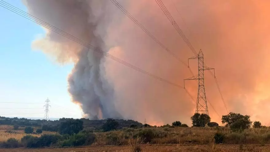 El fuego de Fermoselle, Zamora, visto desde los viñedos de los Arribes del Duero
