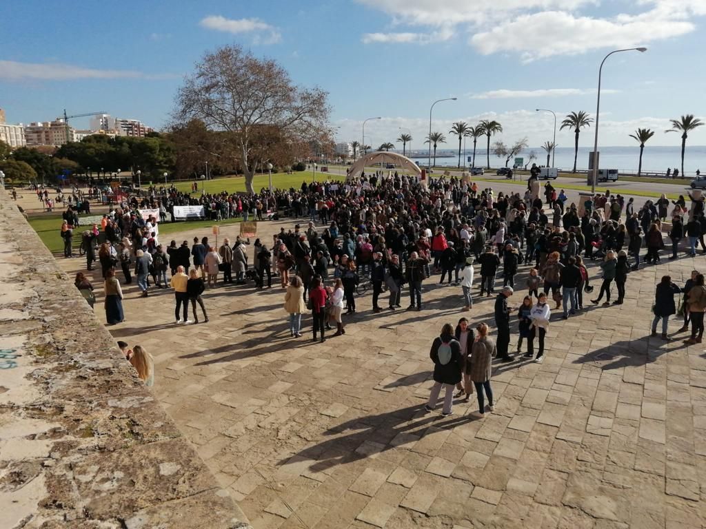 Manifestación contra la exigencia del certificado covid en Palma