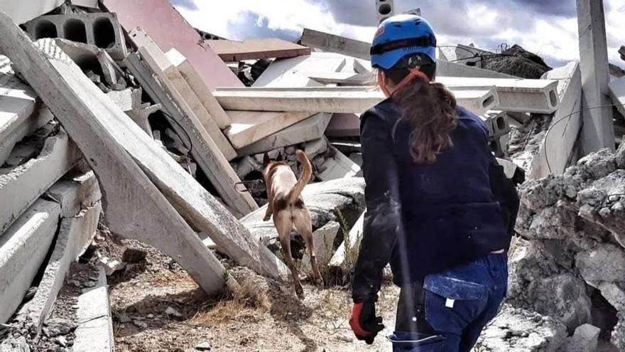 Los perros de rescate también se jubilan: la emotiva despedida de India tras casi una década salvando vidas