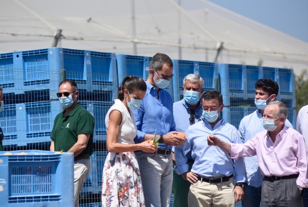 Visita de los reyes a la cooperativa La Carrichosa de Cieza