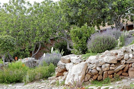 Zacken, Schießscharten, hohe Mauern: Ein Besuch in der Festung im Nordosten von Mallorca.