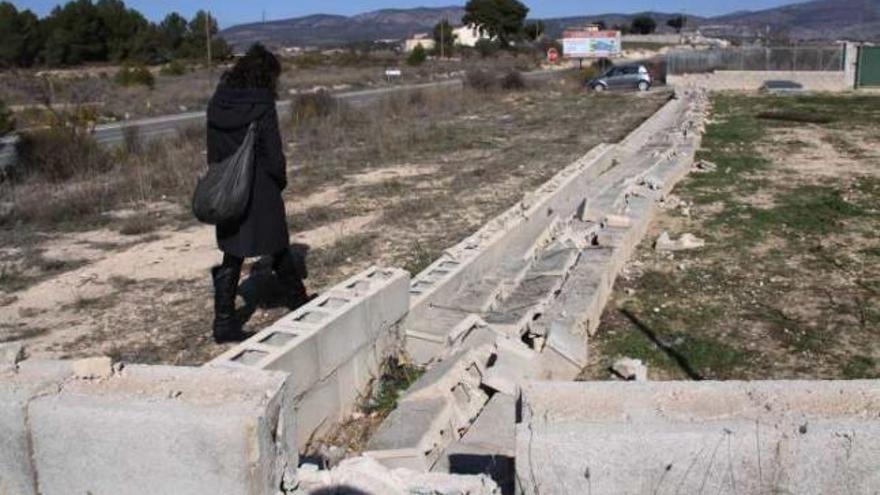 La protectora de animales de Ibi recauda fondos para reparar el muro del albergue tirado por el viento