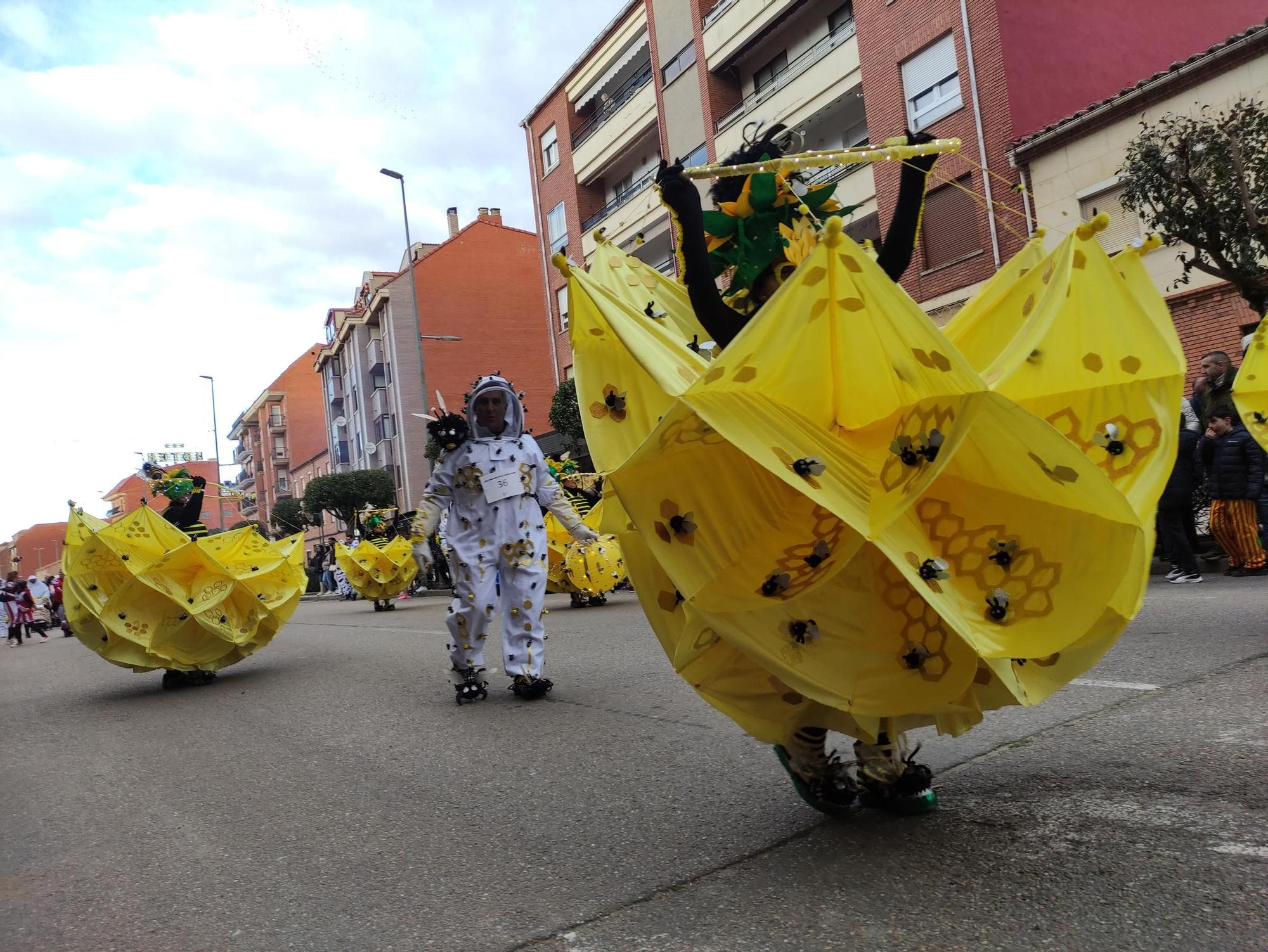 El Carnaval de Benavente, en imágenes