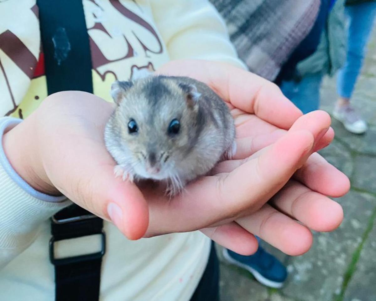 Bendiciones entre guaus y miaus